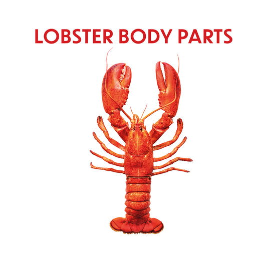 Lobster body