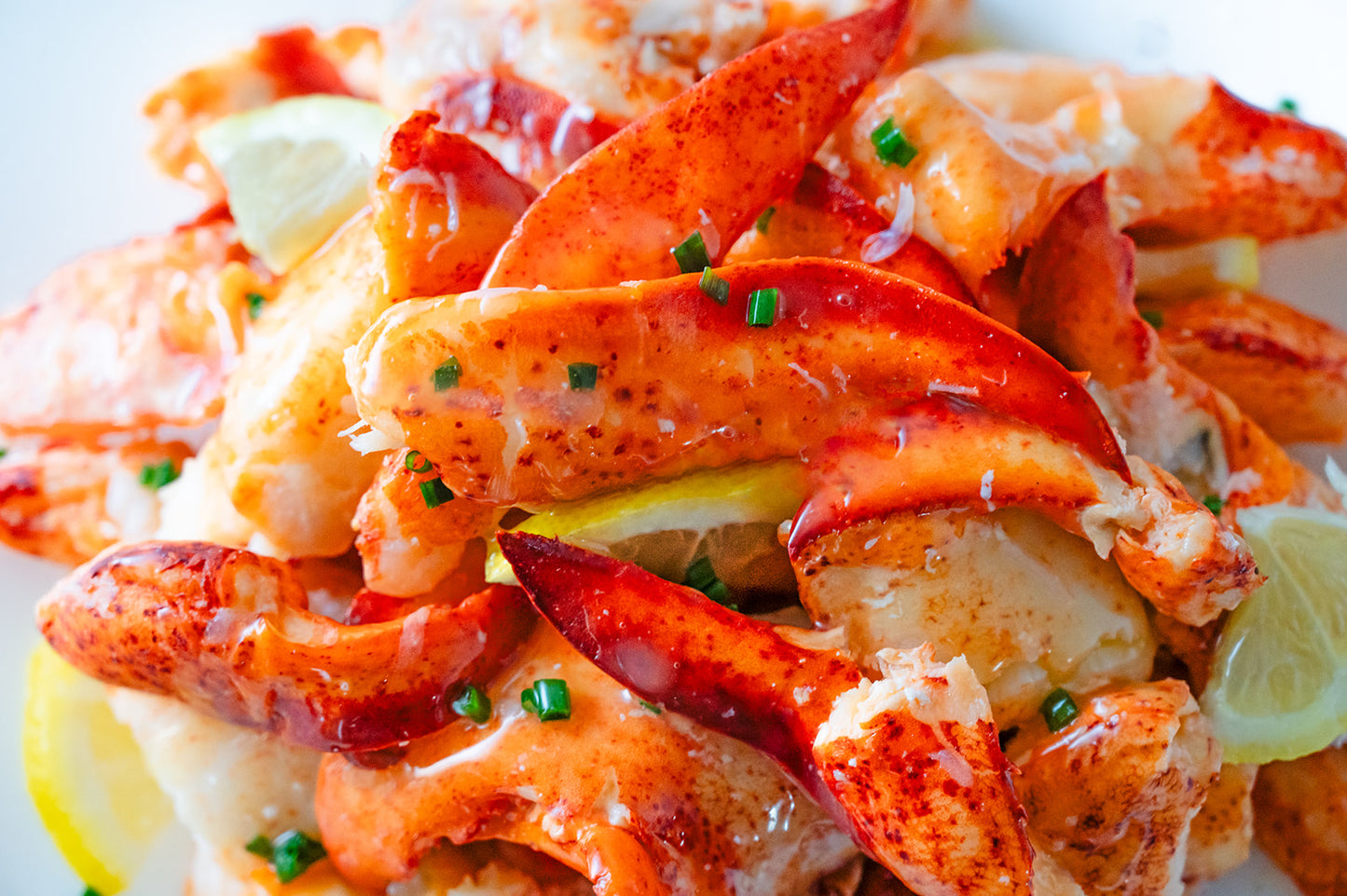 Maine Lobster Meat