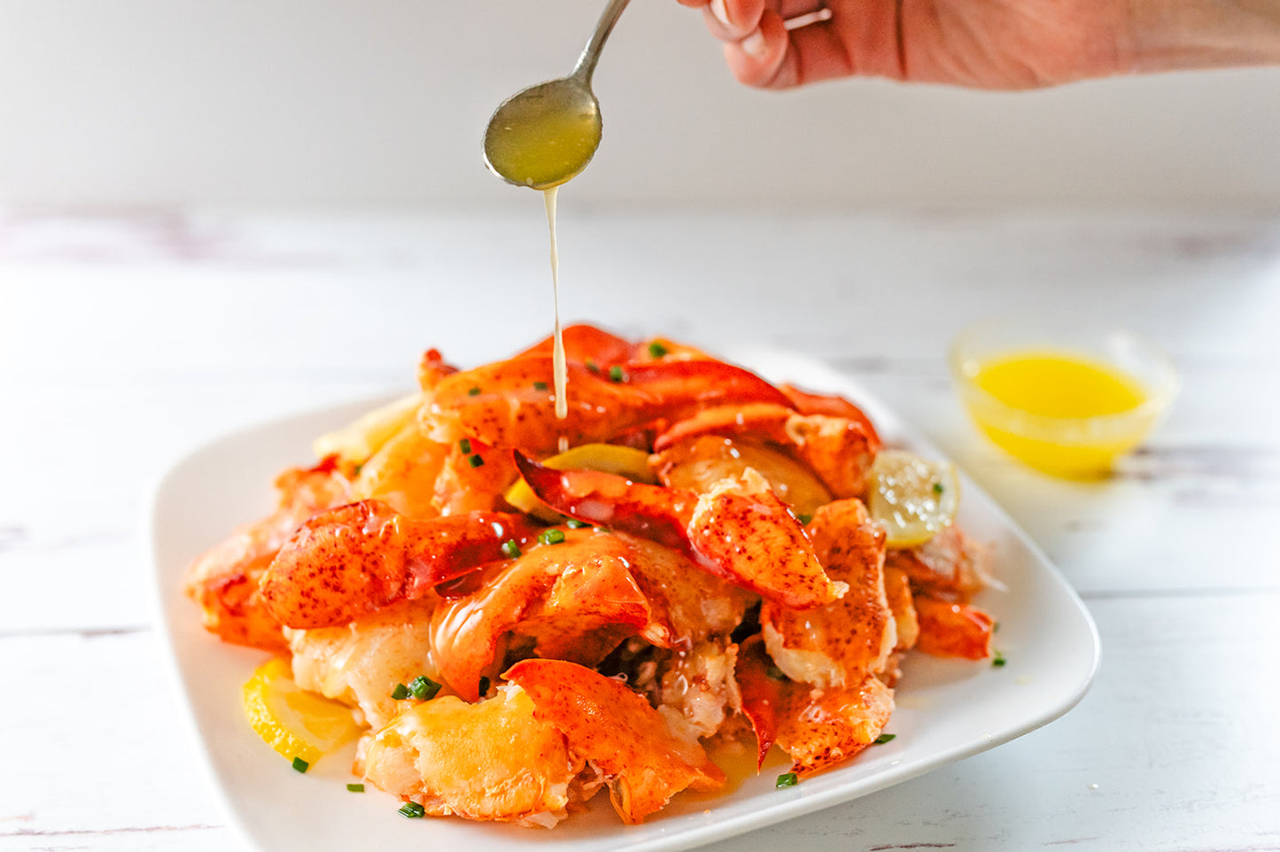 Maine Lobster Meat