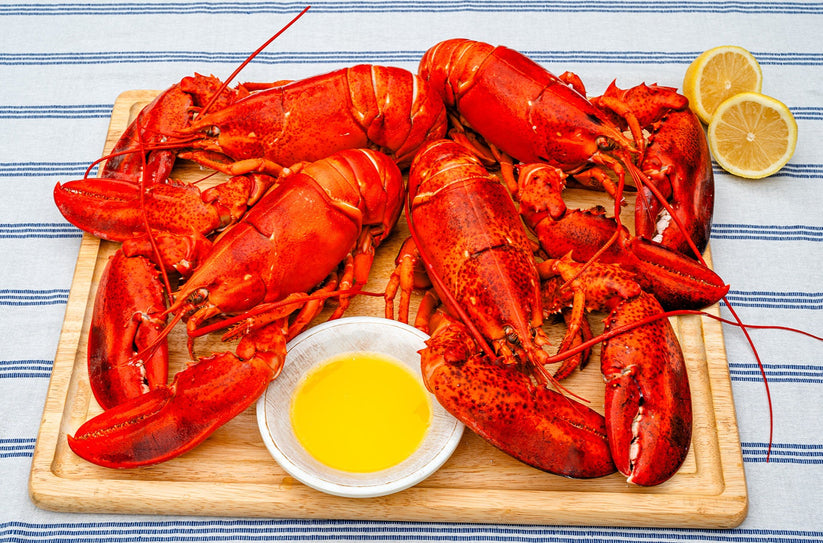 Live Gulf of Maine Lobsters Legal Sea Foods Online
