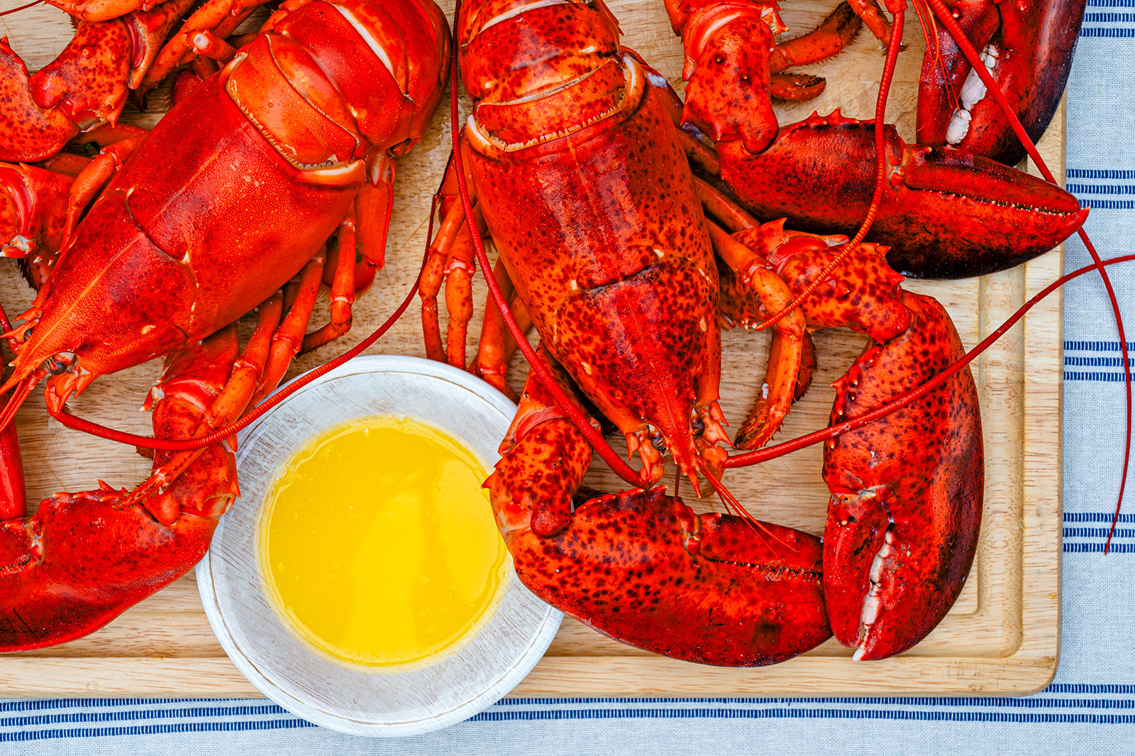 Live Gulf of Maine Lobsters – Legal Sea Foods Online