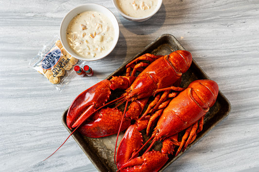 Live Lobster and Chowder Combo