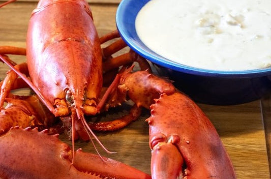 Live Lobster and Chowder