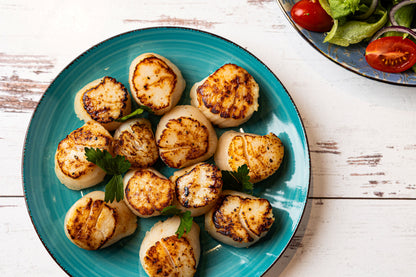 Dry Day Boat Sea Scallops