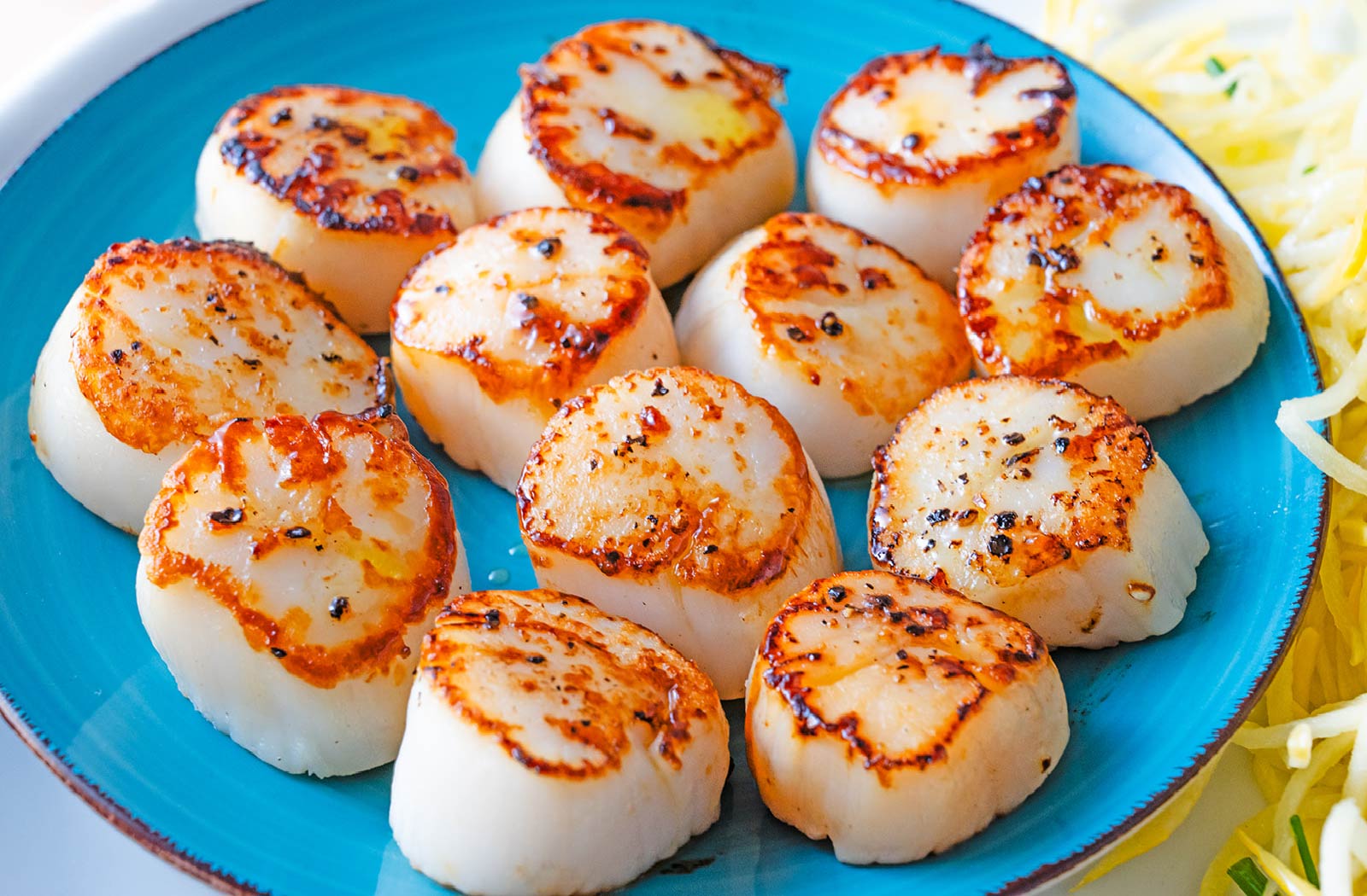 Dry Day Boat Sea Scallops Legal Sea Foods Online Dry day boat sea scallops legal sea foods online